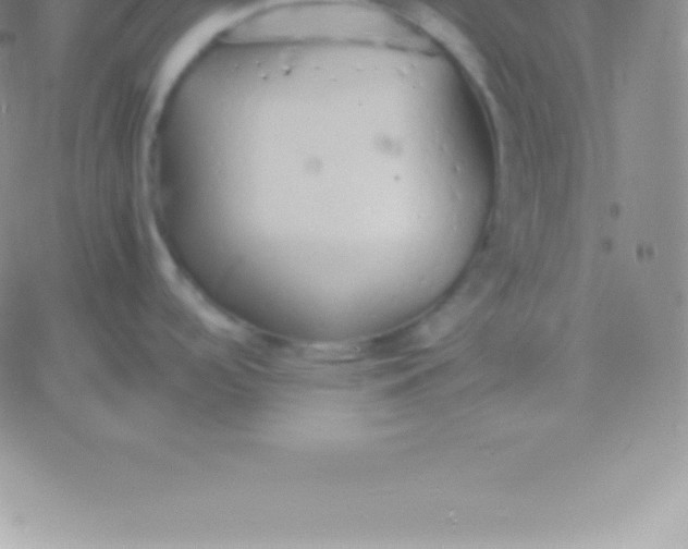 X0000060751488200511241650