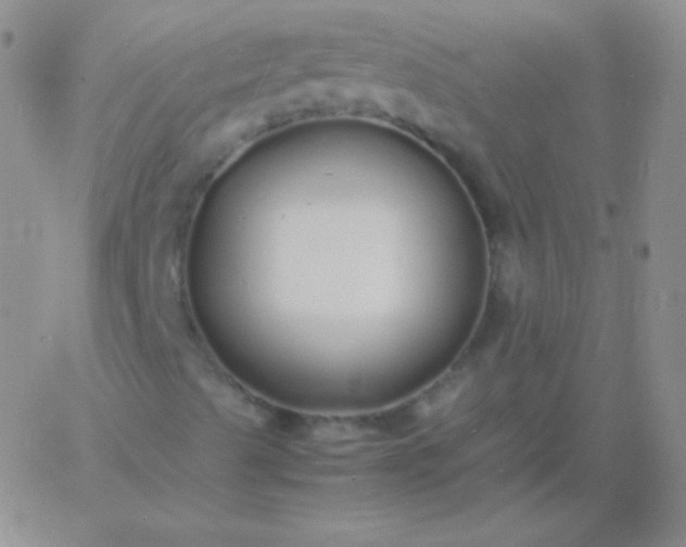 X0000060751489200511241650