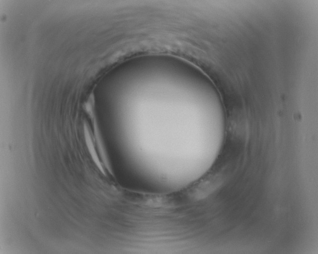 X0000060751490200511241650