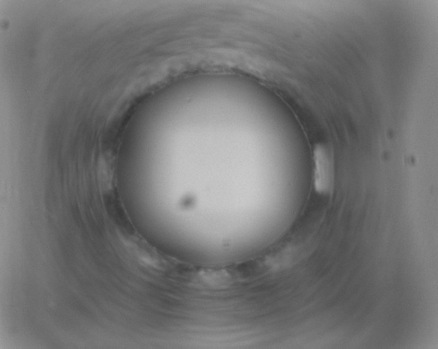 X0000060751491200511241650