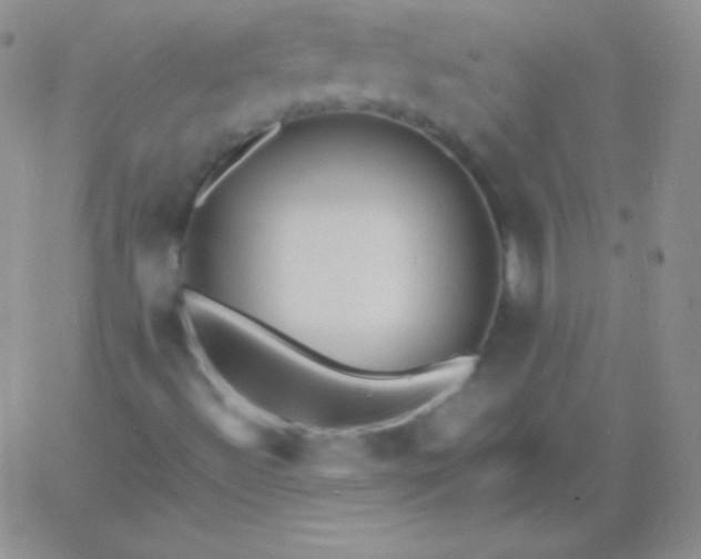 X0000060751492200511241650