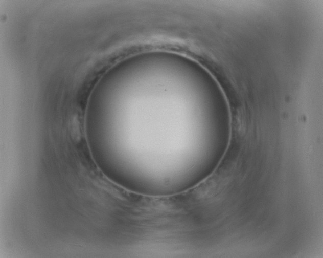 X0000060751493200511241650