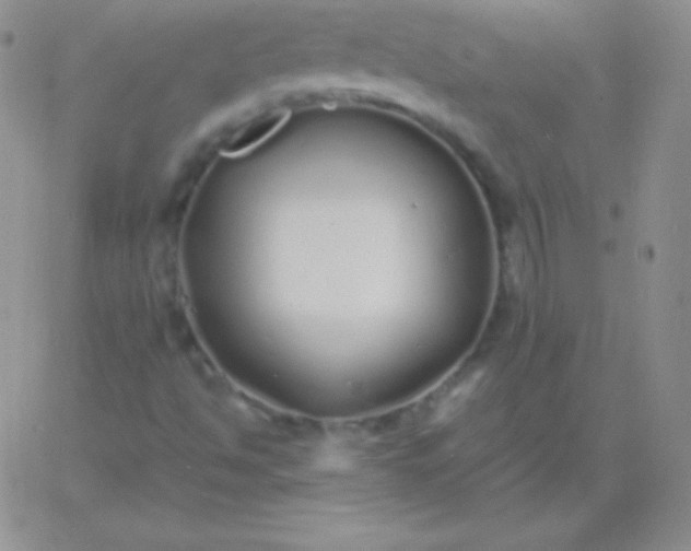 X0000060751494200511241650