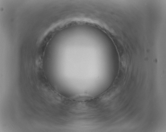 X0000060751495200511241650