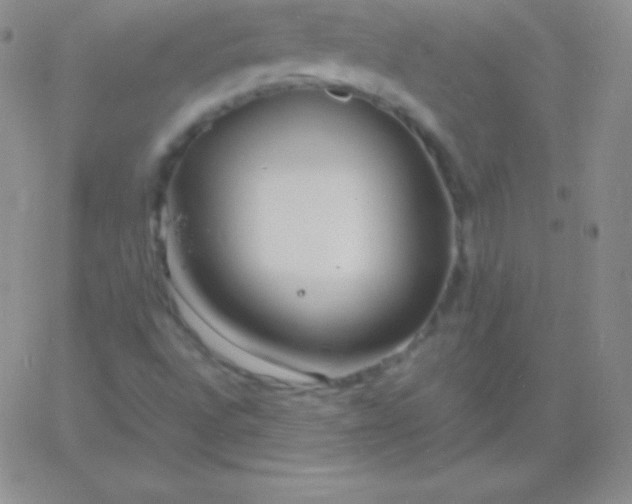 X0000060751496200511241650