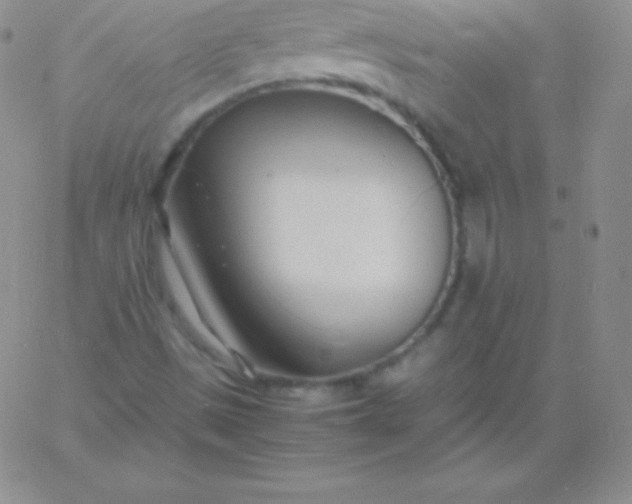 X0000060751497200511241650