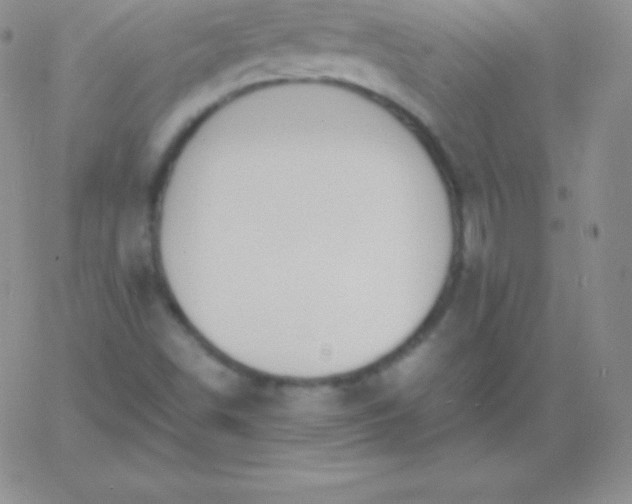 X0000060751498200511241650