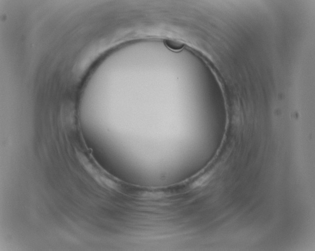 X0000060751499200511241650