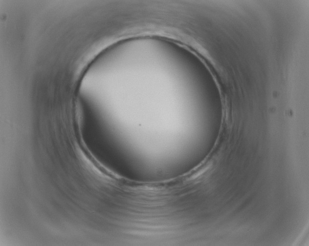 X0000060751500200511241650