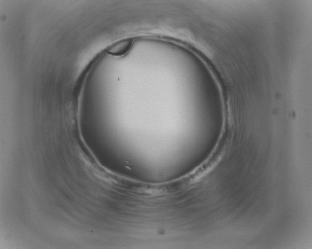 X0000060751501200511241650