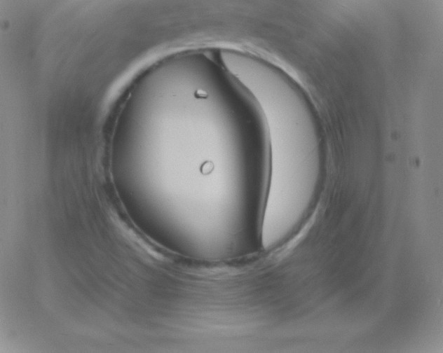 X0000060751502200511241650