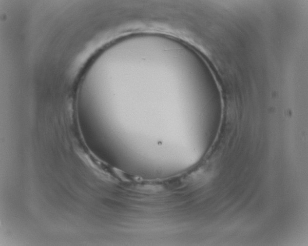 X0000060751503200511241650