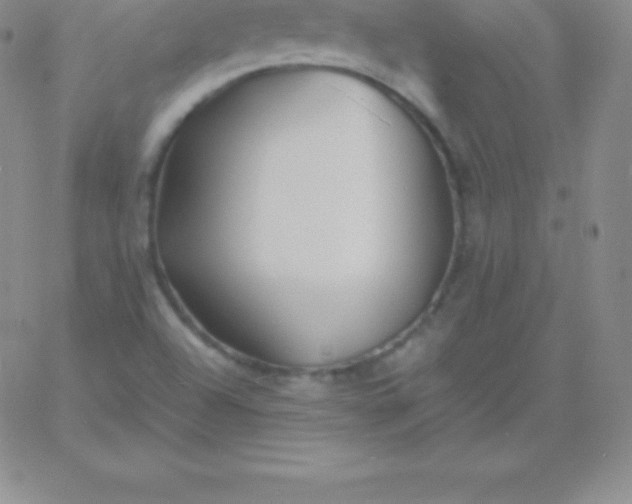 X0000060751504200511241650