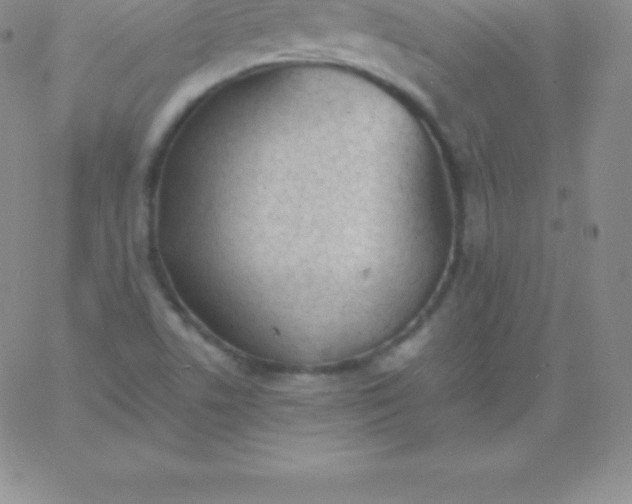 X0000060751506200511241650