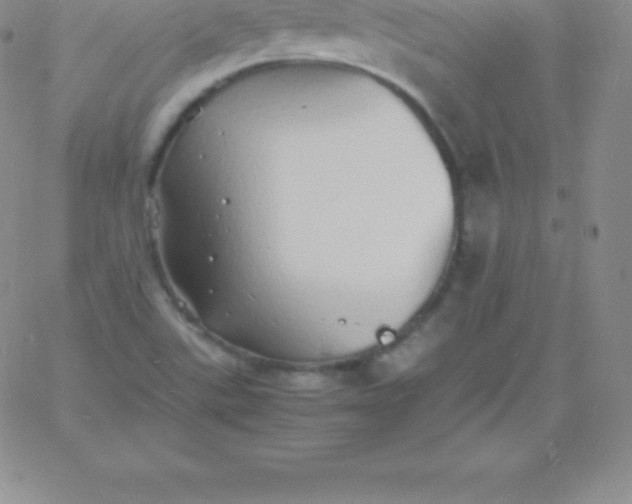 X0000060751507200511241650