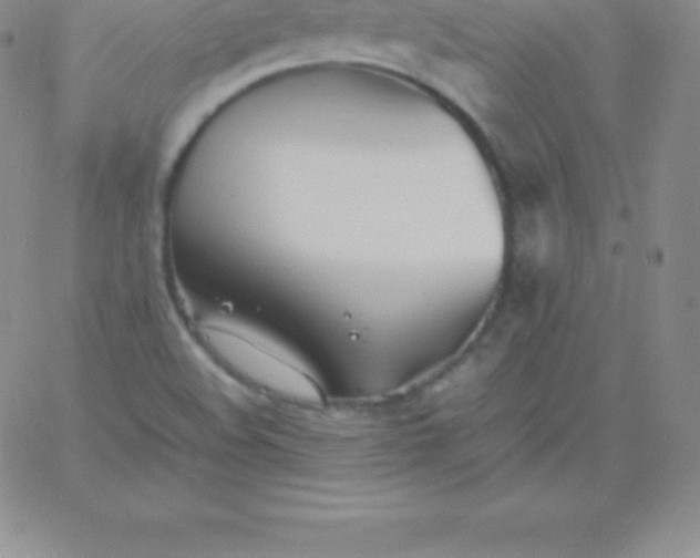 X0000060751508200511241650