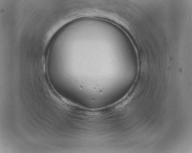 X0000060751509200511241650