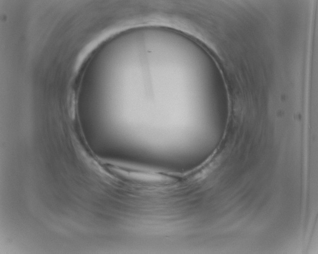 X0000060751510200511241650