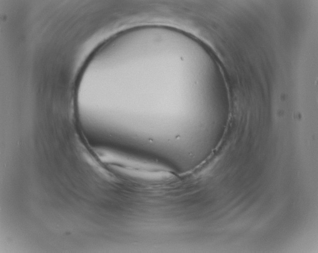 X0000060751511200511241650