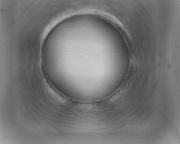 X0000060751512200511241650