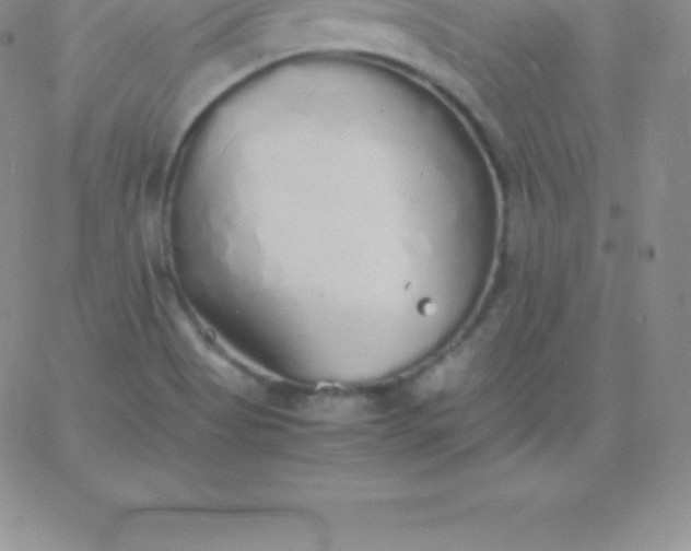 X0000060751513200511241650