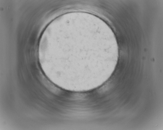 X0000060751514200511241650