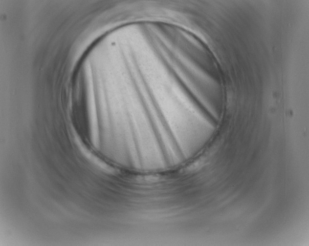 X0000060751515200511241650