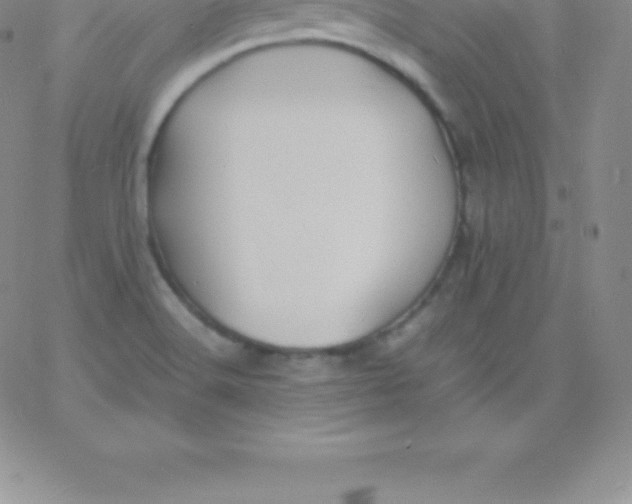 X0000060751516200511241650