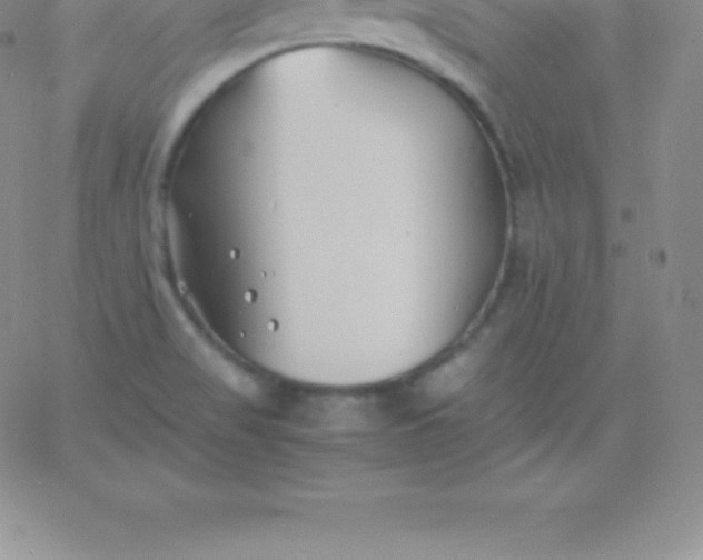 X0000060751517200511241650