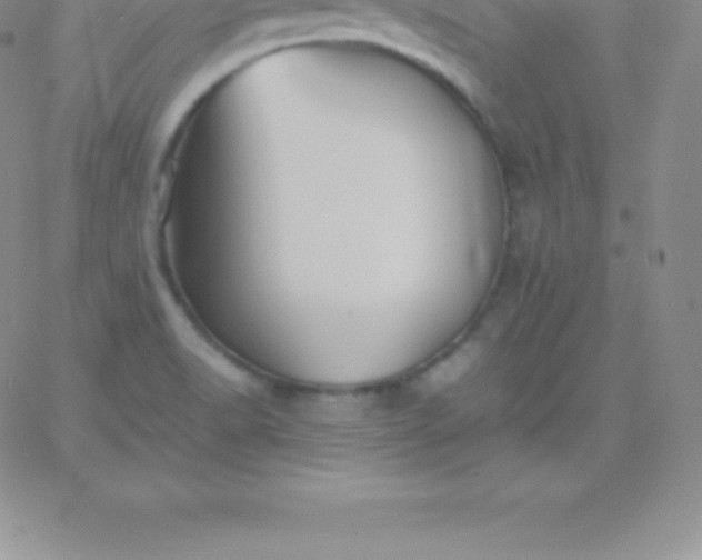 X0000060751518200511241650