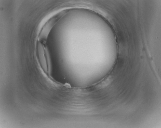 X0000060751520200511241650