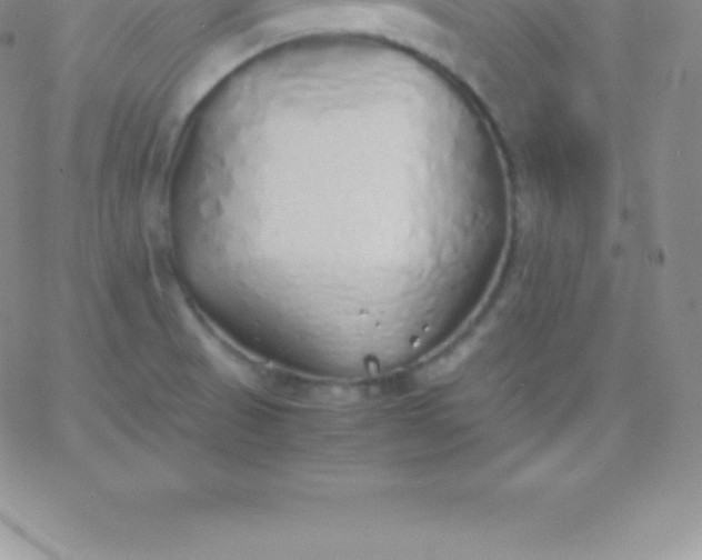 X0000060751521200511241650