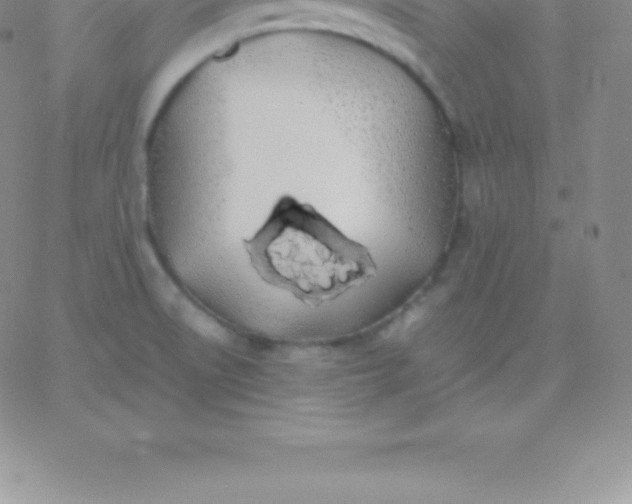 X0000060751522200511241650