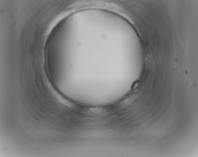 X0000060751523200511241650