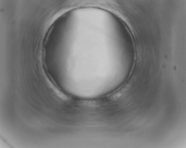 X0000060751525200511241650