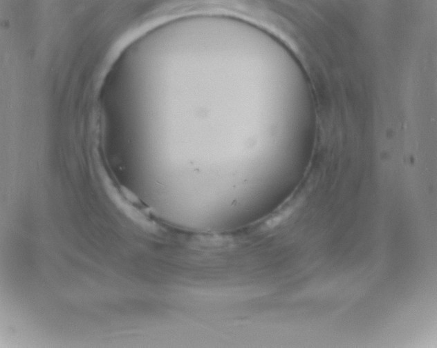 X0000060751526200511241650