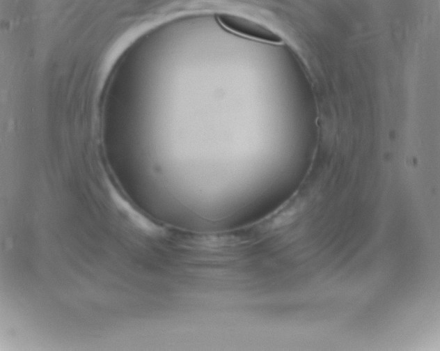 X0000060751527200511241650