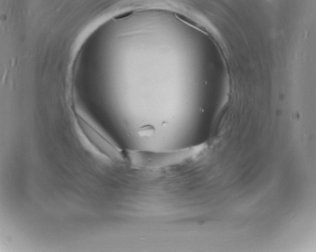 X0000060751528200511241650