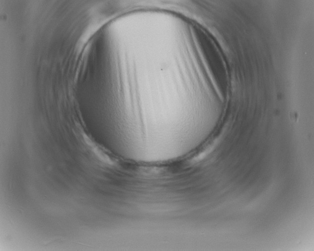 X0000060751529200511241650