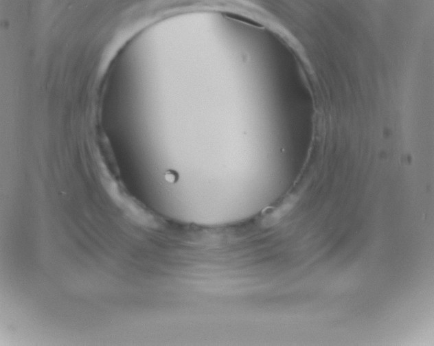 X0000060751530200511241650