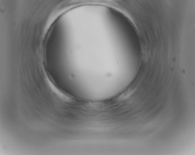 X0000060751531200511241650