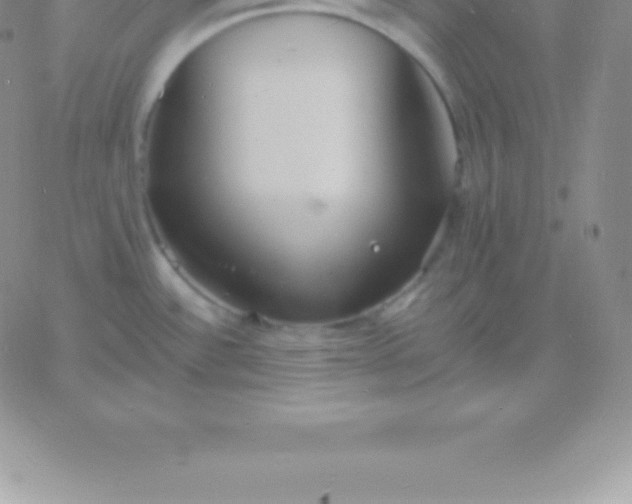 X0000060751532200511241650