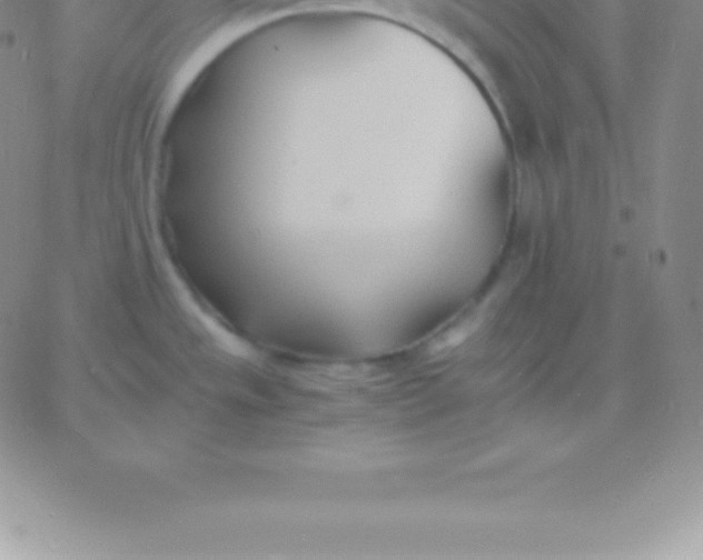 X0000060751533200511241650