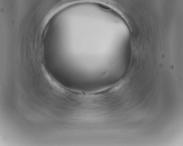 X0000060751534200511241650