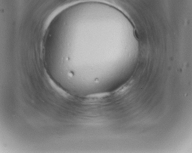 X0000060751535200511241650