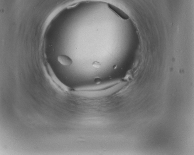 X0000060751536200511241650