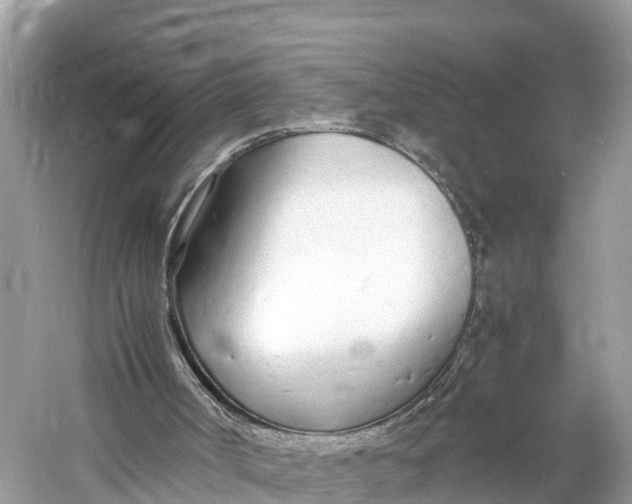 X0000060750002200512011459