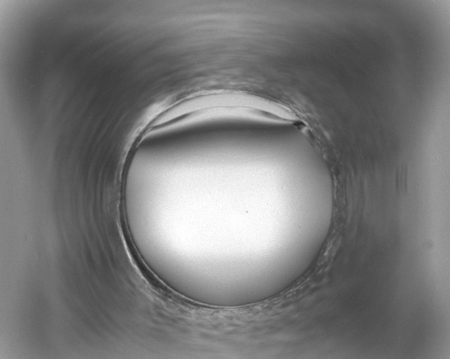 X0000060750003200512011459