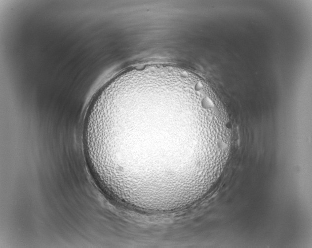 X0000060750004200512011459