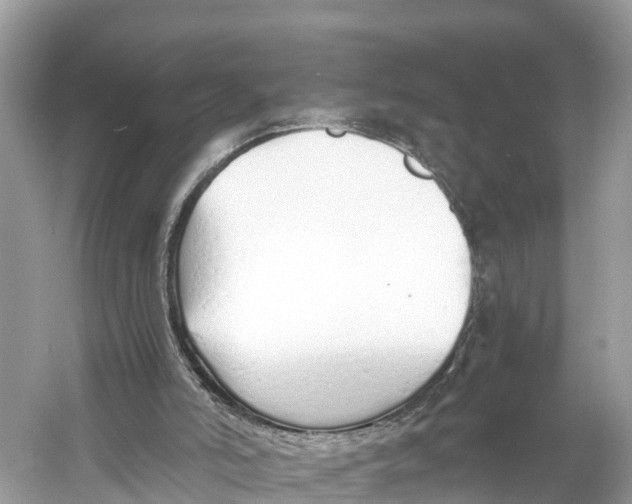 X0000060750006200512011459